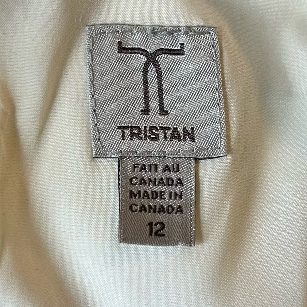 NWOT TRISTAN Midi Dress, Sleeveless, Stripes, Pink, Cream, & Black, Size 12 - Picture 5 of 6